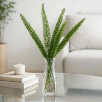 Foxtail Stabilis&eacute; - Vert