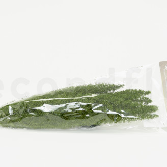 Foxtail Stabilis&eacute; - Vert