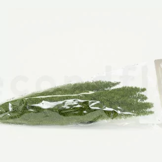 Preserved Foxtail Green