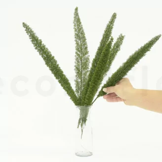 Preserved Foxtail Green