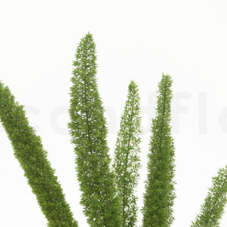 Foxtail Stabilisiert - Gr&uuml;n