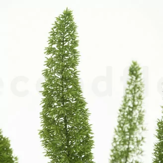 Foxtail stabilis&eacute; Vert