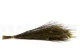 Bell Grass preservada Verde 10