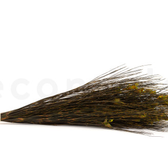 Bell Grass femminile stabilizzato - Mazzo - Verde