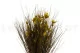 Bell Grass stabilizzato Verde 2