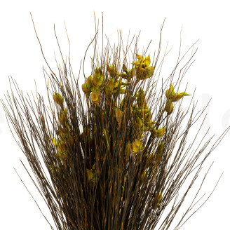 Bell Grass femminile preservato - Mazzo - Verde