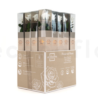 Roses on stem preserved 50cm - Gift Box 20 Units - White
