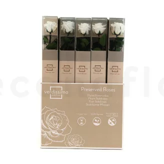 Rosa stabilizzata con stelo 50 cm Bianco - Scatola regalo individuale (x20)