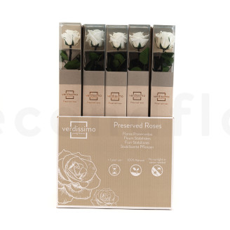 Roses on stem preserved 50cm - Gift Box 20 Units - White