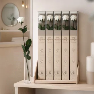 Rose su stelo stabilizzato 50 cm - Gift Box 20 unit&agrave; - Bianco