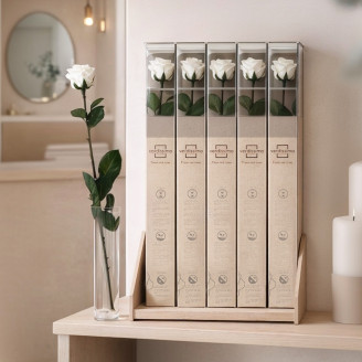 Roses sur tige stabilis&eacute;es 50cm - Gift Box 20 unit&eacute;s - Blanc