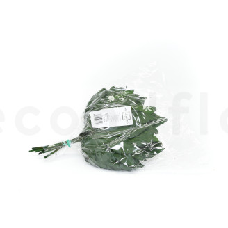 Foglia di Aralia Stabilizzata - 10 Unit&agrave; - Verde