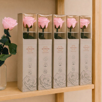 Rosas preservadas con tallo 30 cm - Gift Box 25 unidades - Pastel Pink