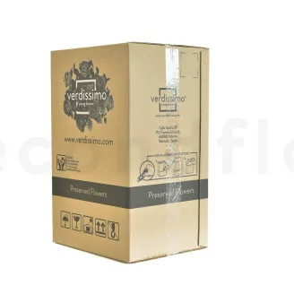 Rosa stabilizzata con stelo 50 cm Bianco (x30)