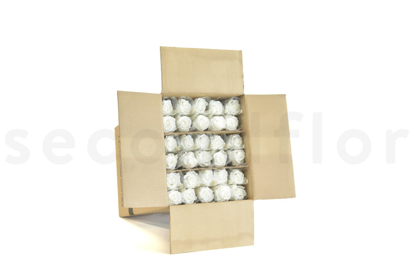 Roses on stem jumbled 50cm Stabilized - 30 Units - White