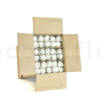Roses on stem jumbled 50cm Preserved - 30 Units - White
