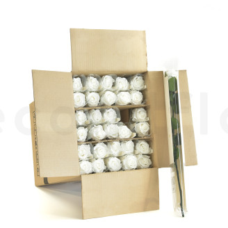 Roses sur tige stabilis&eacute;es vrac 50cm - 30 Unit&eacute;s - Blanc