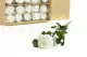 Konservierte Rose mit 50 cm Stiel Wei&szlig; (x30) 3