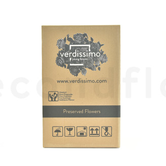 Rosa su stelo stabilizzata vrac 50cm - 30 unit&agrave; - Rosso