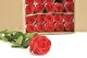 Preserved Rose on stem 50 cm Red (x30) 5