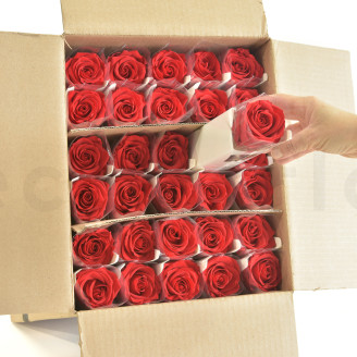Roses sur tige stabilis&eacute;es vrac 50cm - 30 Unit&eacute;s - Rouge