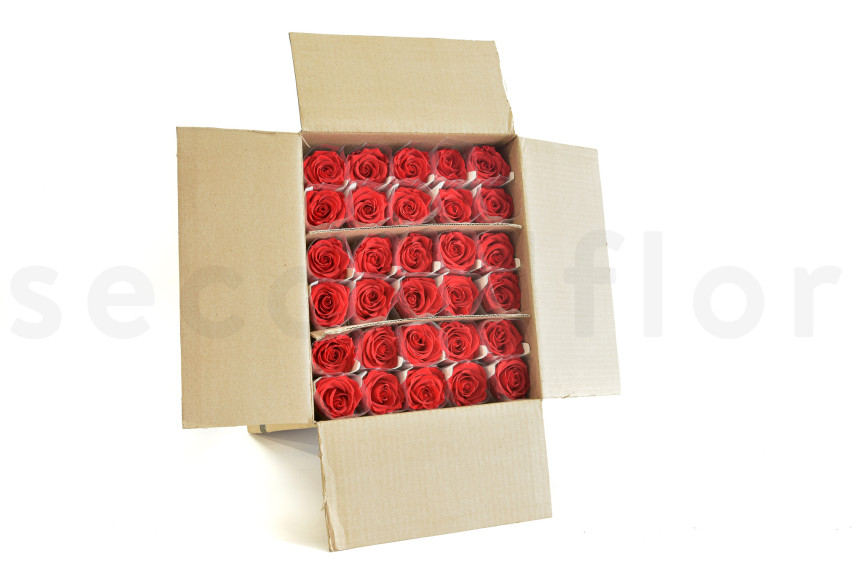 Roses sur tige stabilis&eacute;es vrac 50cm - 30 Unit&eacute;s - Rouge