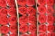Preserved Rose on stem 50 cm Red (x30) 3