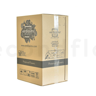 Rosa su stelo stabilizzata vrac 50cm - 30 unit&agrave; - Rosso