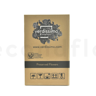 Rosa su stelo stabilizzata vrac 50cm - 30 unit&agrave; - Rosa chiaro