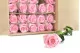 Konservierte Rose mit 50 cm Stiel Pastellrosa (x30) 4