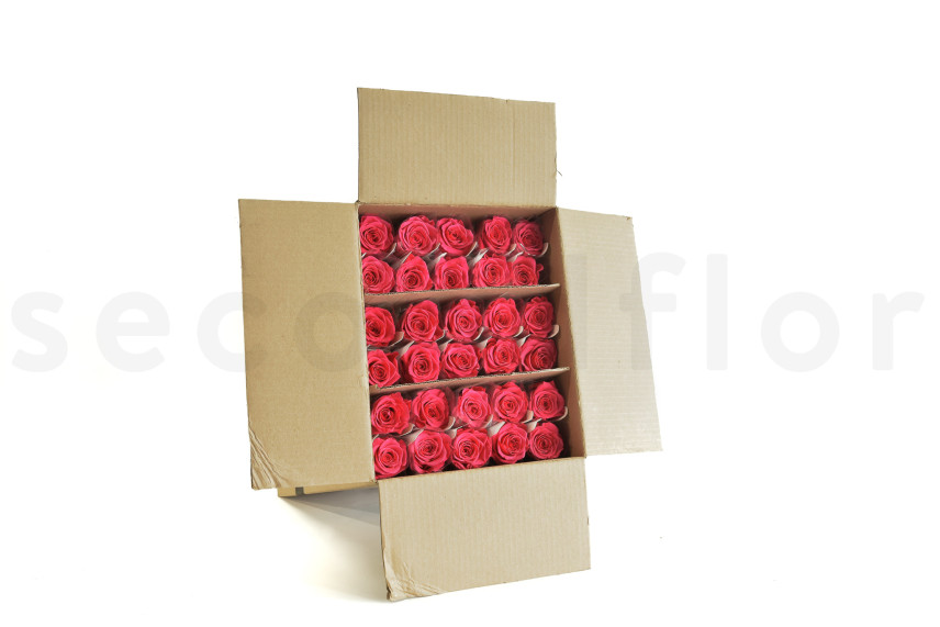 Rose mit St&auml;ngel 50cm Stabilisiert - 30 St&uuml;ck - Dunkelrosa