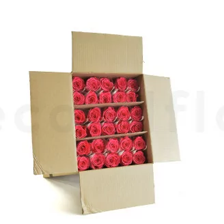 Konservierte Rose mit 50 cm Stiel Dunkelrosa (x30)