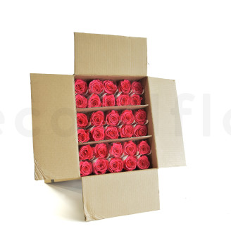 Rosa con Tallo preservada Granel 50cm - 30 Unidades - Rosa oscuro