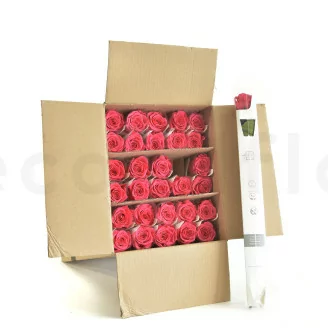 Rosa stabilizzata con stelo 50 cm Rosa Scuro (x30)
