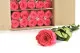 Rose stabilis&eacute;e sur tige 50 cm Rose Fonc&eacute; (x30) 4