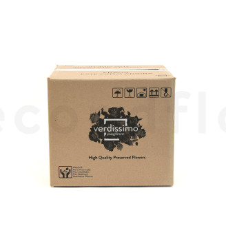 Rosa con Tallo preservada Granel 30cm - 25 Unidades - Rosa claro