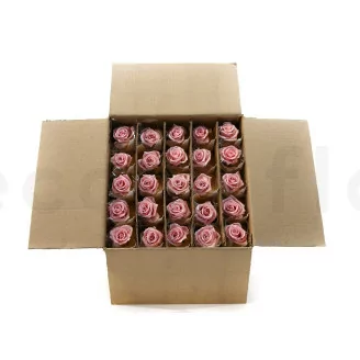 Rosa preservada con tallo 30 cm Rosa Pastel (x25)