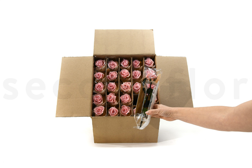 Roses sur tige stabilis&eacute;es vrac 30cm - 25 Unit&eacute;s - Rose clair