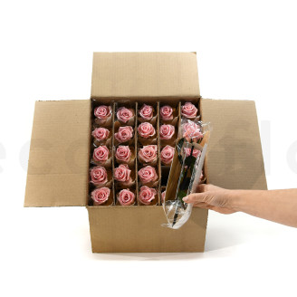 Rosa su stelo preservata vrac 30cm - 25 unit&agrave; - Rosa chiaro