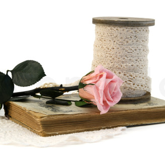 Rosa con Tallo preservada Granel 30cm - 25 Unidades - Rosa claro