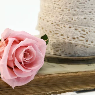 Rosa preservada con tallo 30 cm Rosa Pastel (x25)