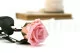 Rosa stabilizzata con stelo 30 cm Rosa Pastello (x25) 11
