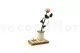 Konservierte Rose mit 30 cm Stiel Pastellrosa (x25) 12