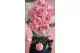 Preserved Rose on stem 30 cm Pastel Pink (x25) 2