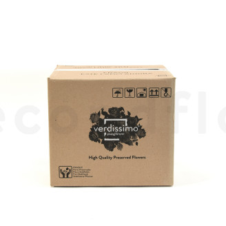 Rosa con Tallo preservada Granel 30cm - 25 Unidades - Blanco