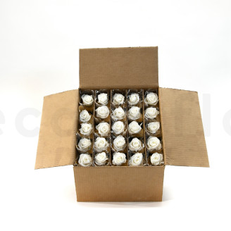 Roses on stem jumbled 30cm Stabilized - 25 Units - White