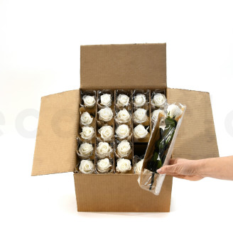 Roses on stem jumbled 30cm Preserved - 25 Units - White