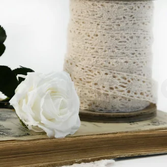 Konservierte Rose mit 30 cm Stiel Wei&szlig; (x25)