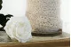 Preserved Rose on stem 30 cm White (x25) 3