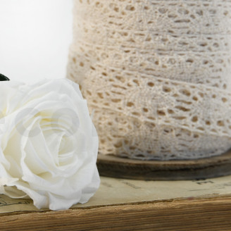 Roses on stem jumbled 30cm Stabilized - 25 Units - White